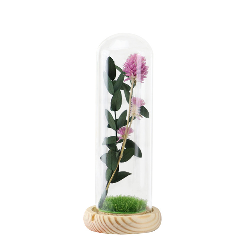 Eternal dandelion flower preserved dandelion in glass dome  JM-100-88