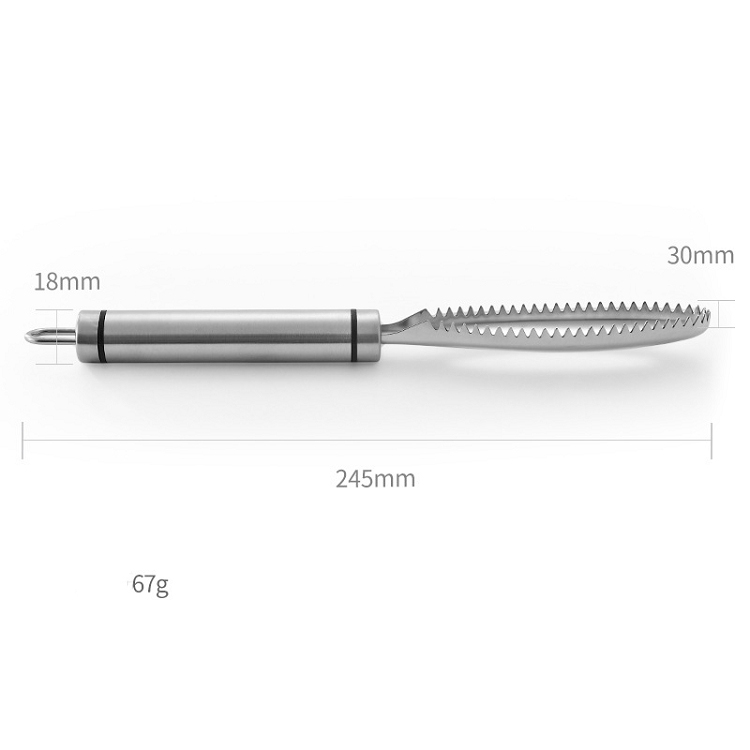 2021 Stainless Steel Cleaning Fish Scale Knife Fish Skin Scraper Peeler Remover Scaler Brush Seafood Tools