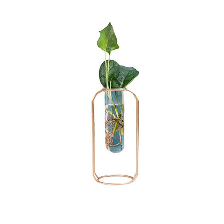 Nordic INS iron art tube hydroponic green plants creative vase simple and fresh table decoration indoor green plants and flowers