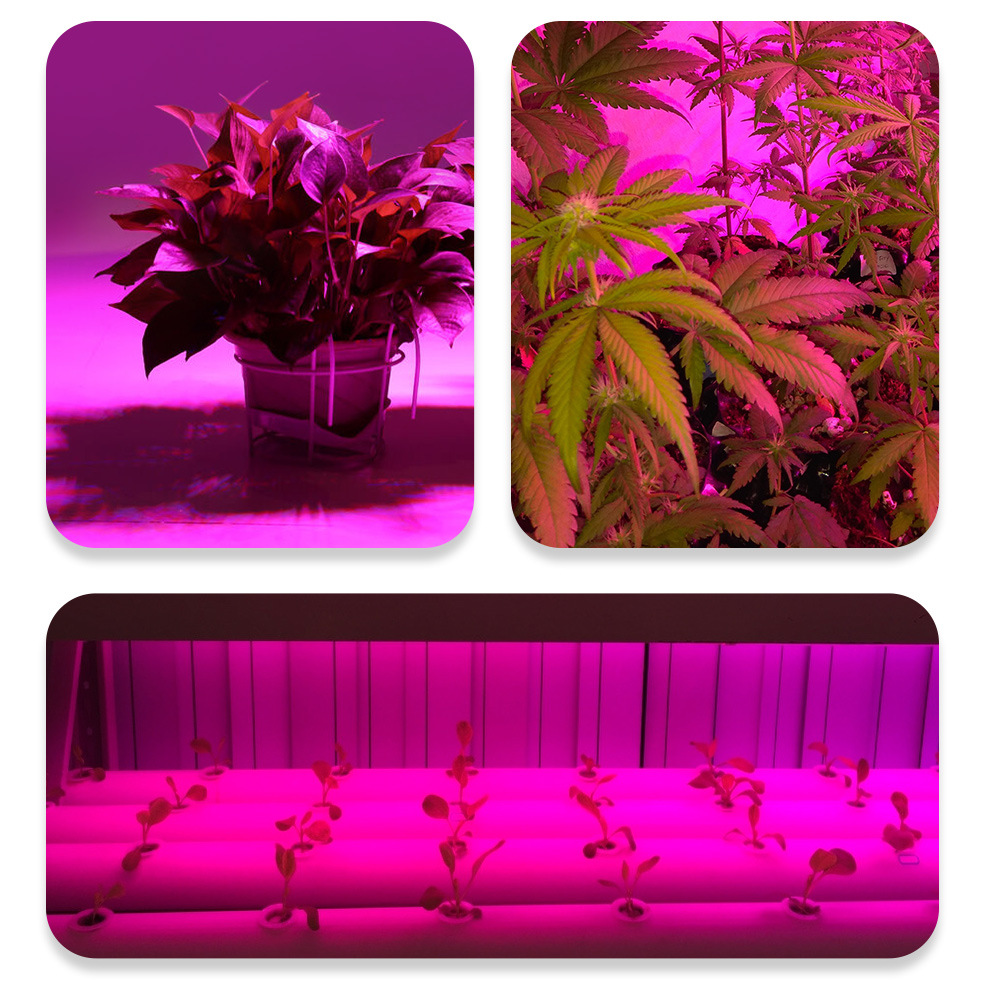 Plant Growth Bulb LED 9w Dragon Fruit Supplement Light Clip Plant Growth Light Bulb lede27 Full Spectrum
