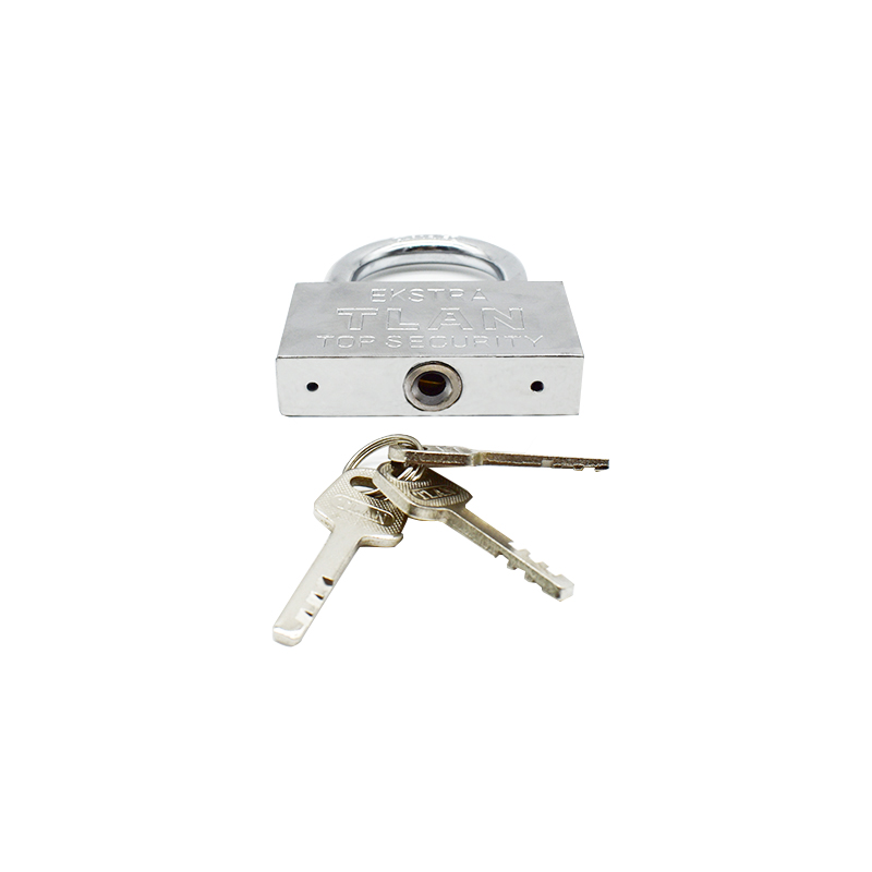 vane key iron Bravo Lock