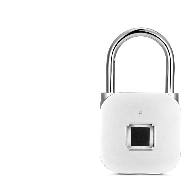 High grade alloy intelligent padlock fingerprint lock dormitory gym hotel apartment door safe padlock S01